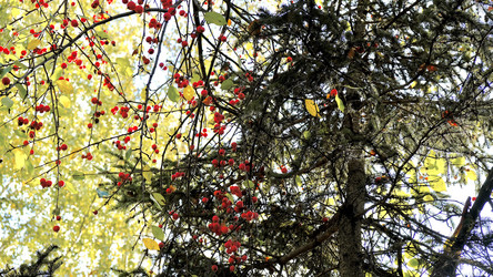 Similar image 21671375