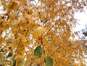 Similar image 21671391