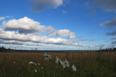 Similar image 21671394