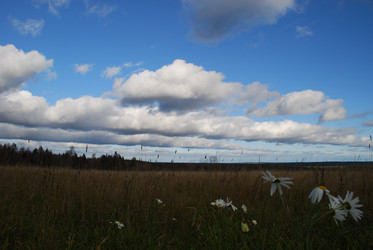 Similar image 21671396