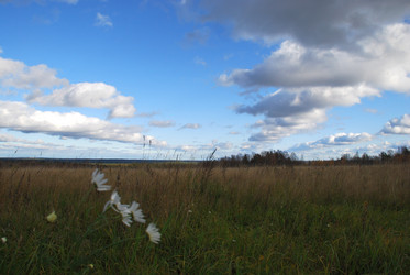 Similar image 21671398