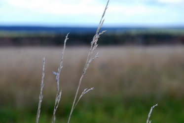 Similar image 21671402