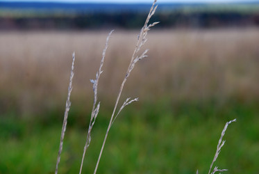 Similar image 21671404