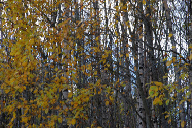 Similar image 21671406