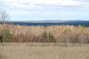 Similar image 21671407