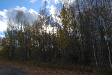 Similar image 21671408