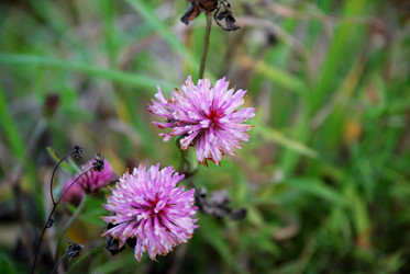 Similar image 21671411