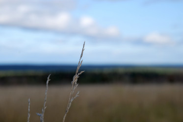 Similar image 21671412