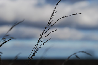 Similar image 21671413