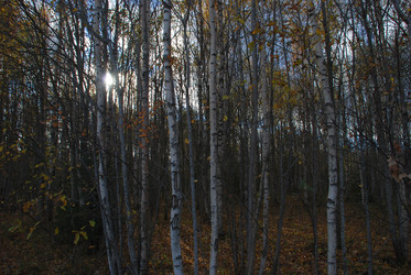 Similar image 21671414