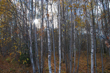 Similar image 21671415