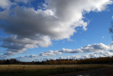 Similar image 21671416