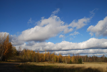 Similar image 21671422