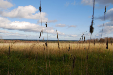 Similar image 21671425