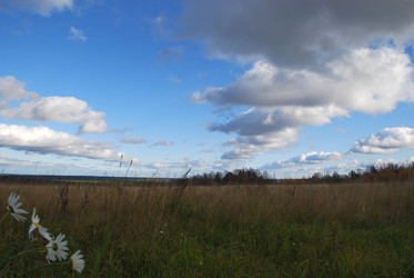 Similar image 21671428