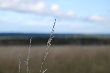 Similar image 21671430