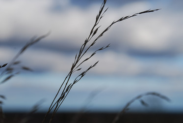 Similar image 21671431