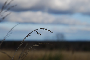 Similar image 21671432