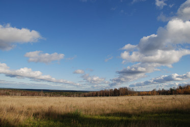 Similar image 21671433