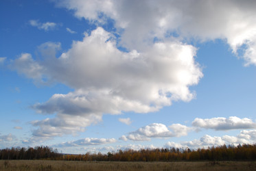 Similar image 21671439