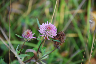 Similar image 21671441