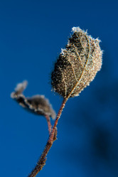 Similar image 21670866