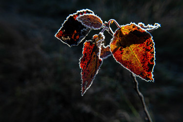 Similar image 21670867