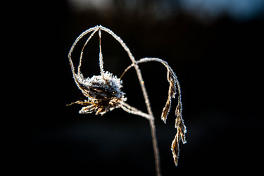 Similar image 21677881