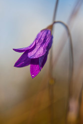 Similar image 21671618