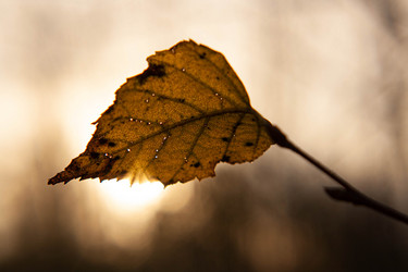 Similar image 21671295