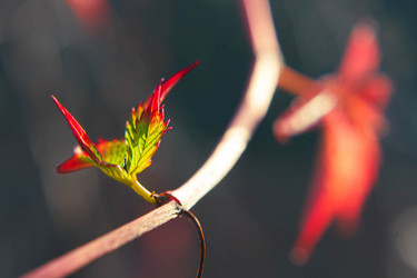 Similar image 21671297