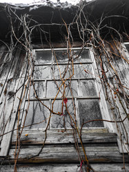 Similar image 21671619