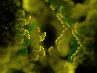 Similar image 21676344