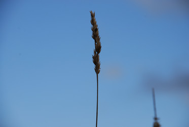 Similar image 21671446