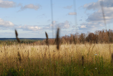 Similar image 21671447