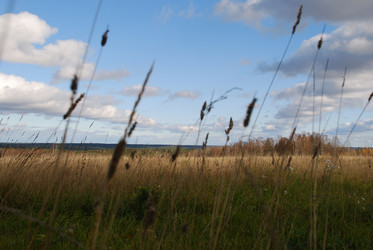 Similar image 21671449