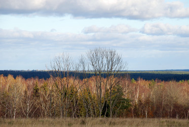 Similar image 21671454