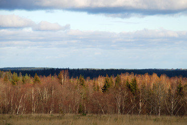 Similar image 21671455