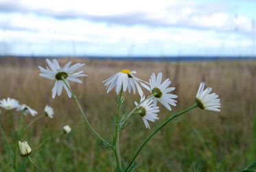 Similar image 21671458