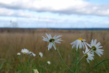 Similar image 21671459