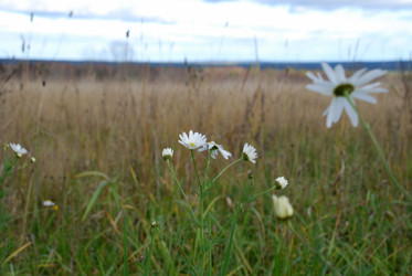 Similar image 21671460