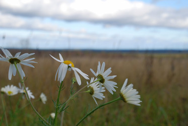 Similar image 21671462