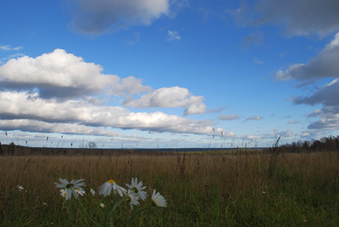 Similar image 21671463