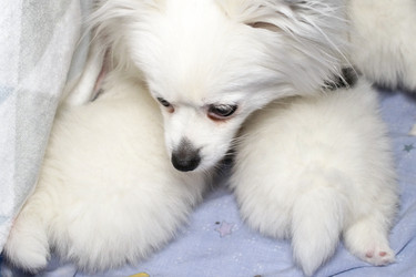 Similar image 21671821