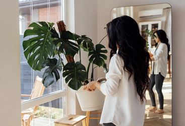 Similar image 21679934