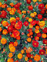 Similar image 21671620