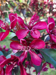 Similar image 21671622