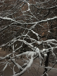 Similar image 21671299