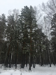 Similar image 21671300