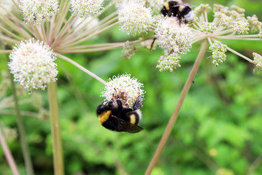 Similar image 21671487